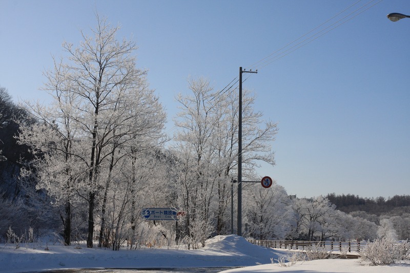 ファイル 27-1.jpg