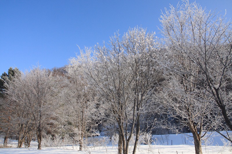 ファイル 27-2.jpg