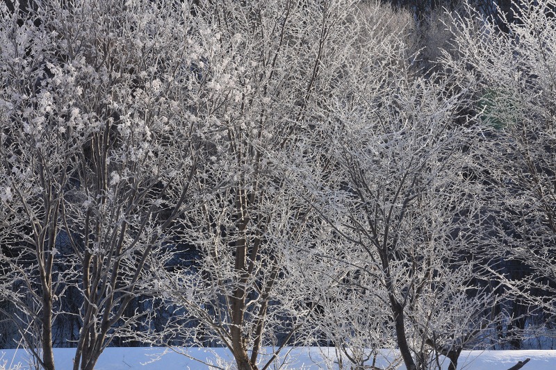 ファイル 27-4.jpg