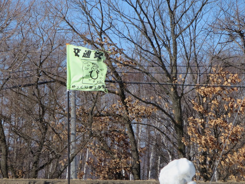 ファイル 28-6.jpg