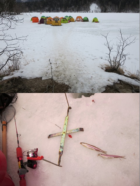 ファイル 28-9.jpg