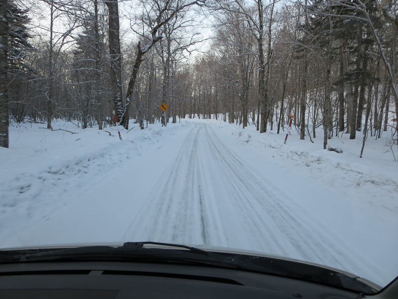 ファイル 29-4.jpg