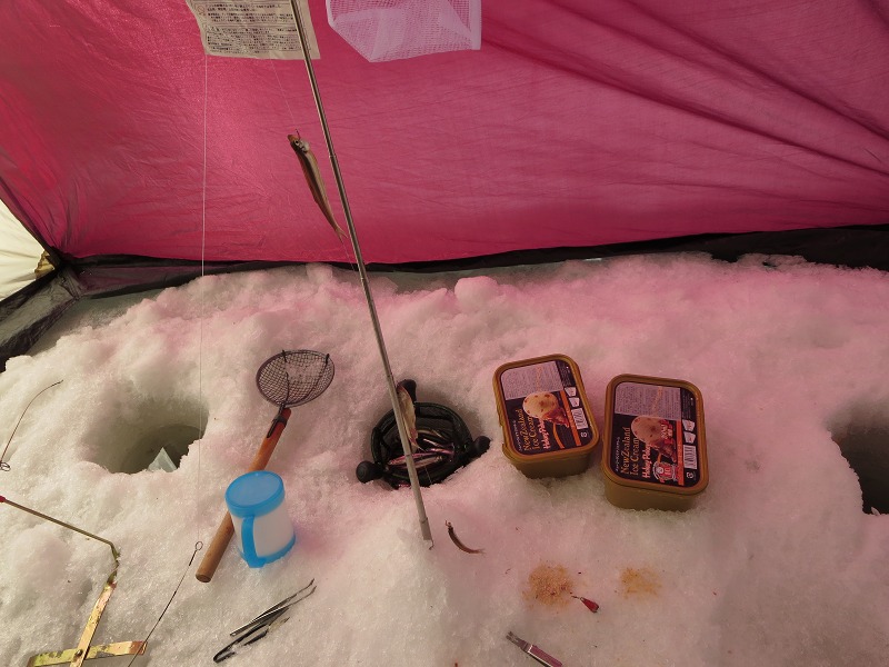 ファイル 29-5.jpg