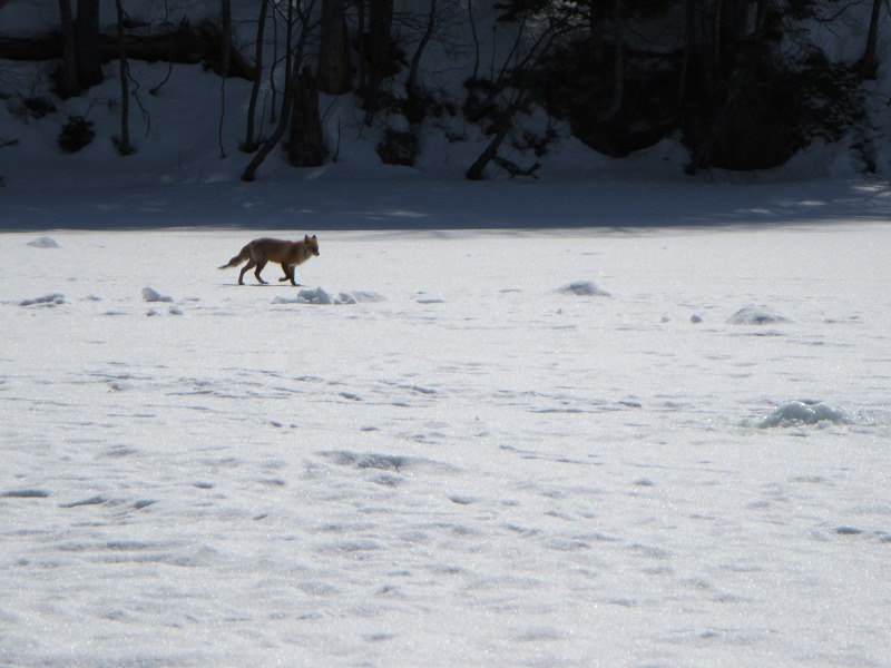 ファイル 29-6.jpg