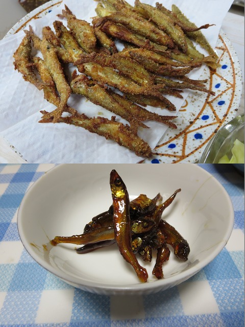 ファイル 29-9.jpg