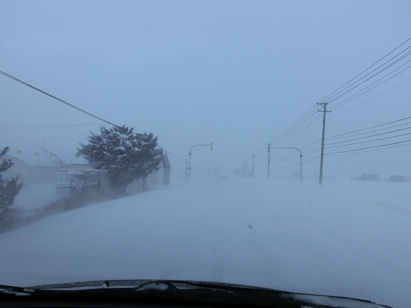 ファイル 3-1.jpg