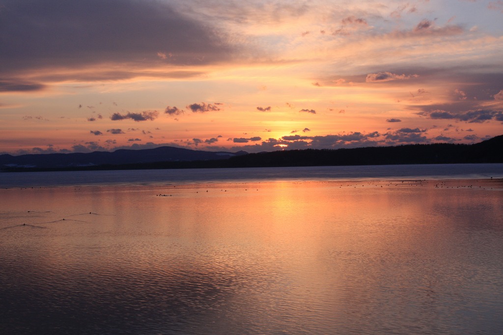 ファイル 30-1.jpg