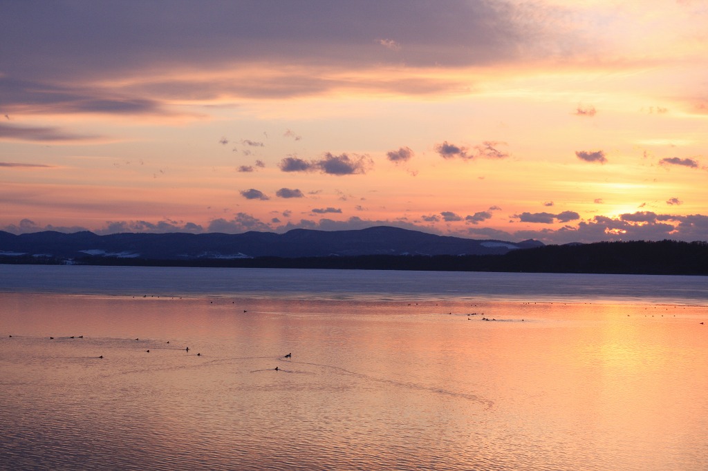 ファイル 30-2.jpg