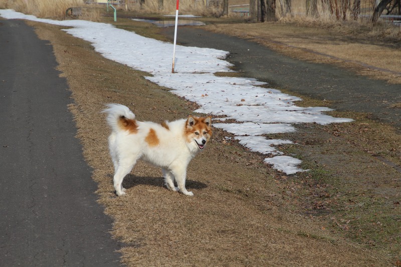 ファイル 31-5.jpg