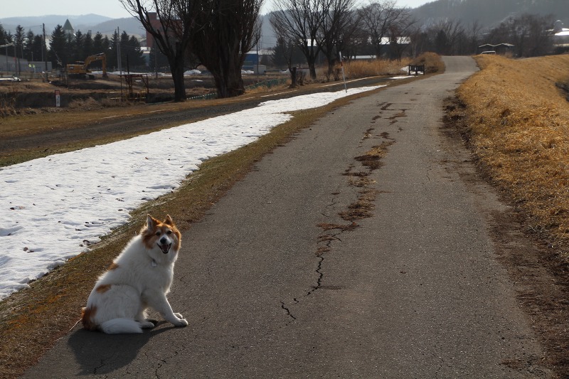 ファイル 31-6.jpg