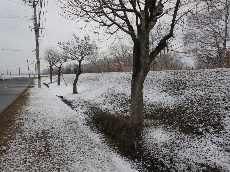 ファイル 34-7.jpg