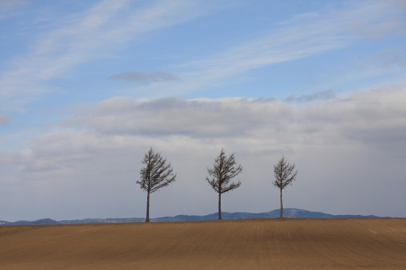 ファイル 35-2.jpg