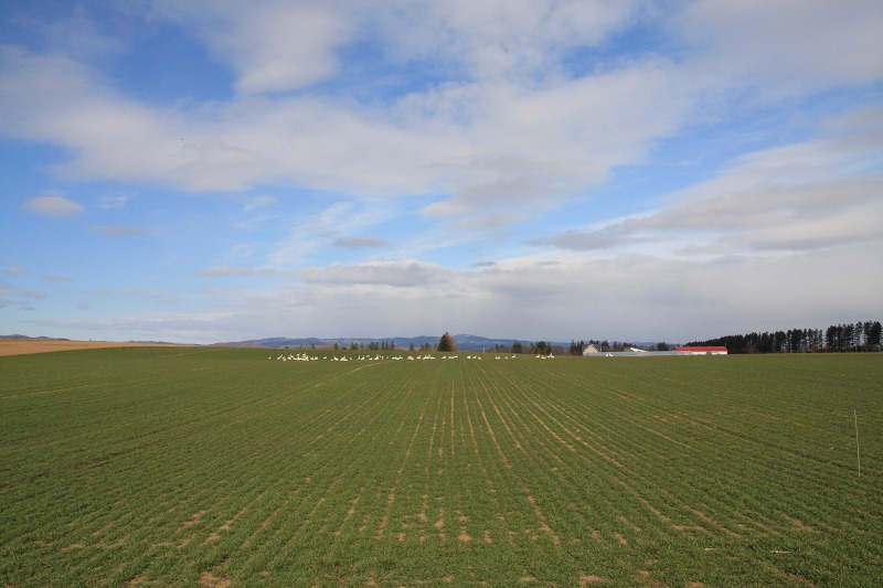 ファイル 35-3.jpg