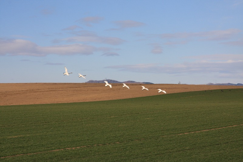 ファイル 35-6.jpg