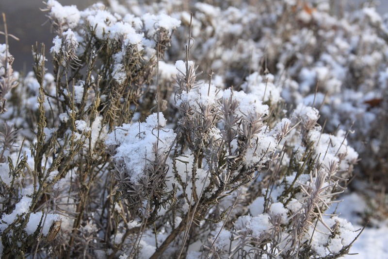 ファイル 35-8.jpg