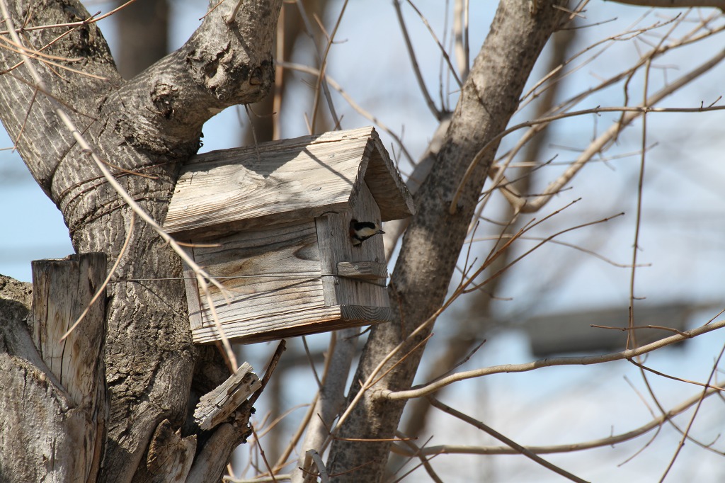 ファイル 36-4.jpg