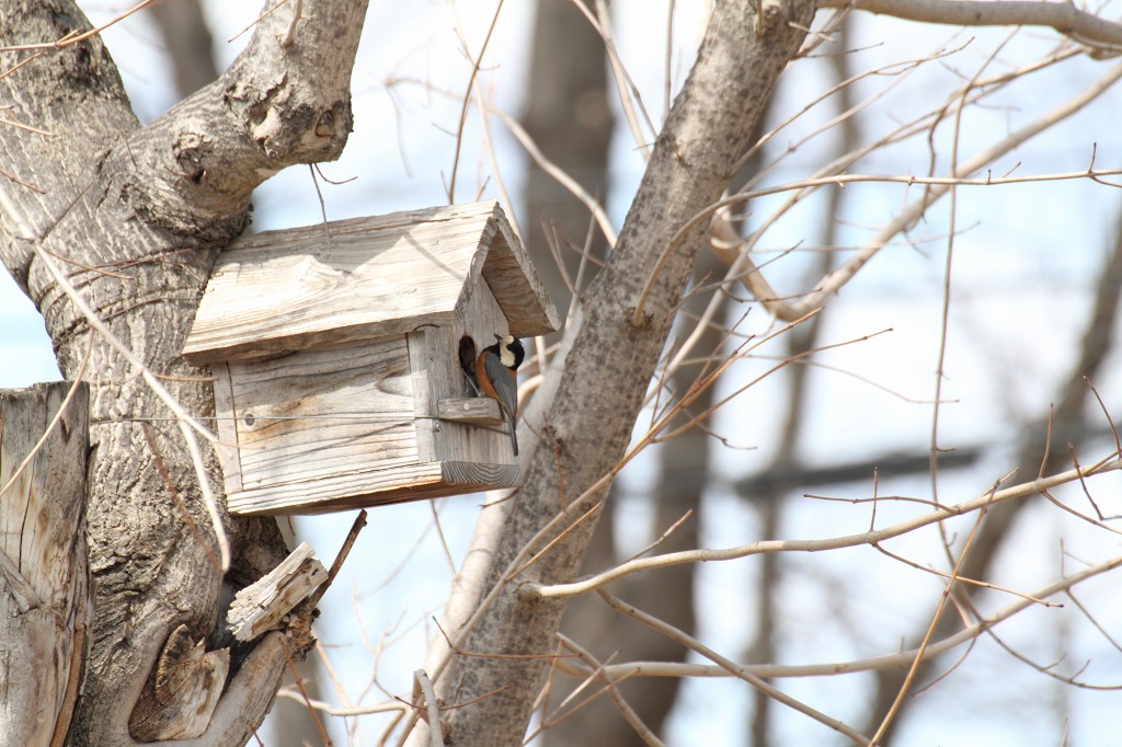 ファイル 36-5.jpg