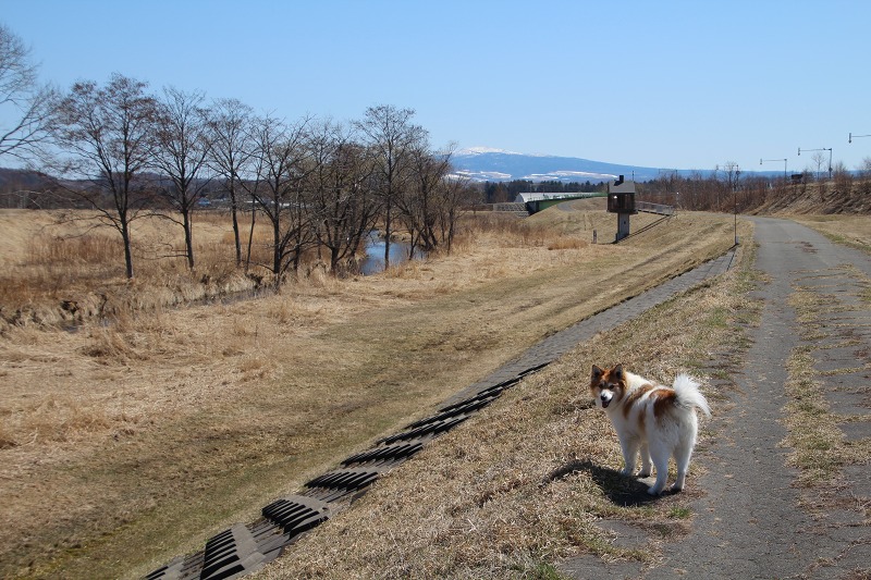 ファイル 37-4.jpg