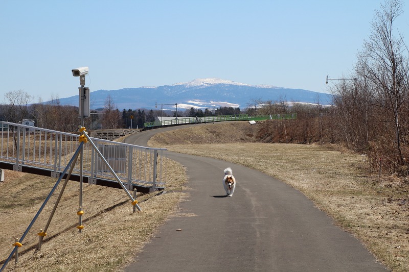 ファイル 37-5.jpg