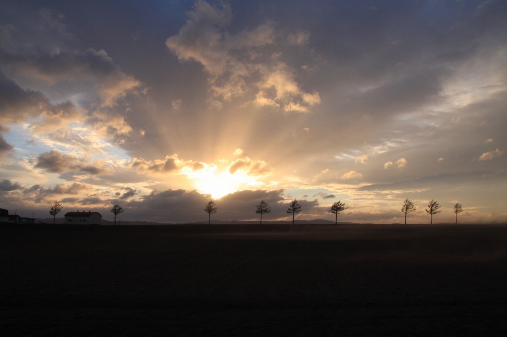 ファイル 38-1.jpg