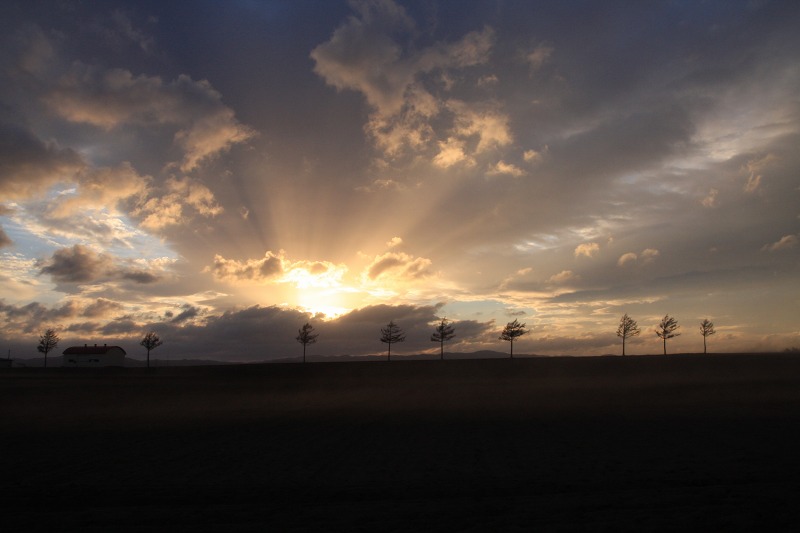 ファイル 38-3.jpg