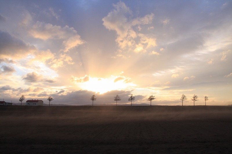 ファイル 38-4.jpg