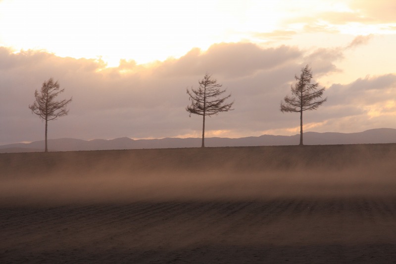 ファイル 38-5.jpg