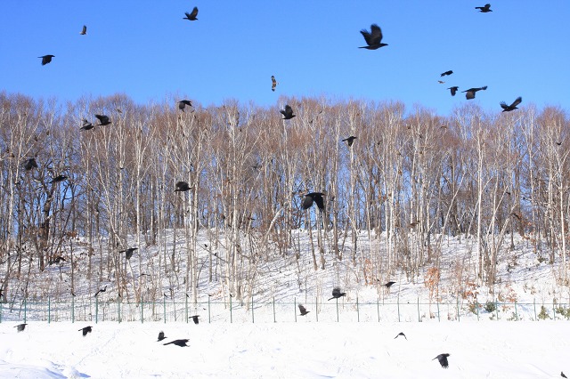 ファイル 4-7.jpg