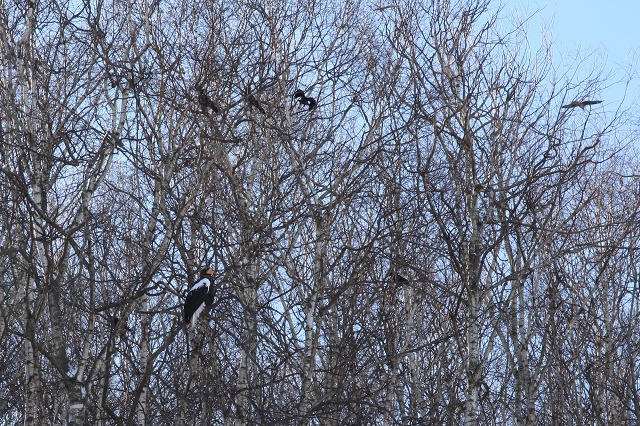 ファイル 4-9.jpg