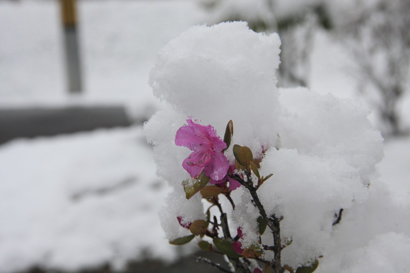 ファイル 41-2.jpg