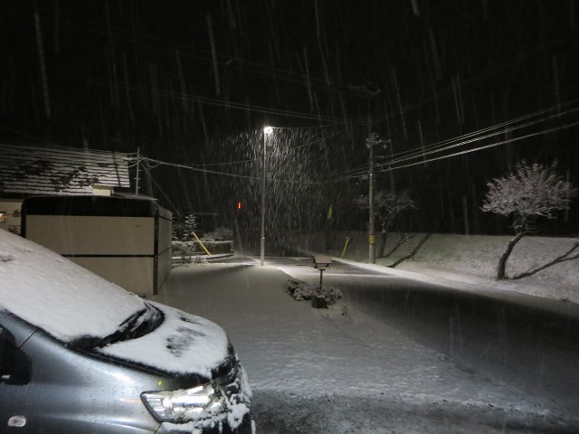 ファイル 42-5.jpg