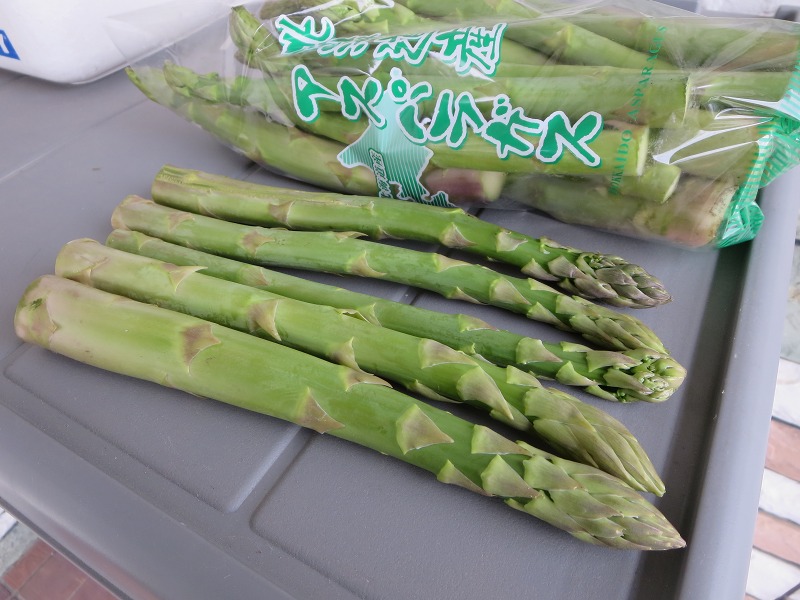 ファイル 43-1.jpg