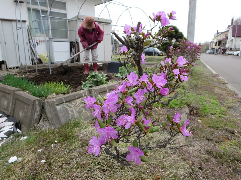 ファイル 43-2.jpg