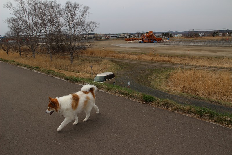 ファイル 43-4.jpg