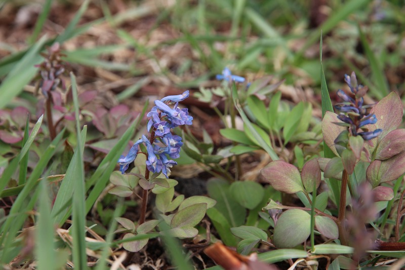 ファイル 43-5.jpg