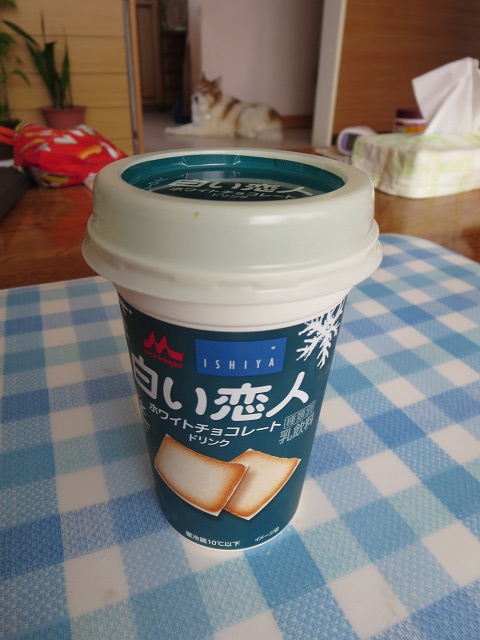 ファイル 43-9.jpg