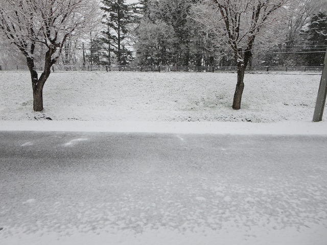 ファイル 44-1.jpg