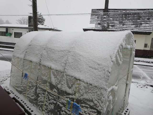 ファイル 44-2.jpg