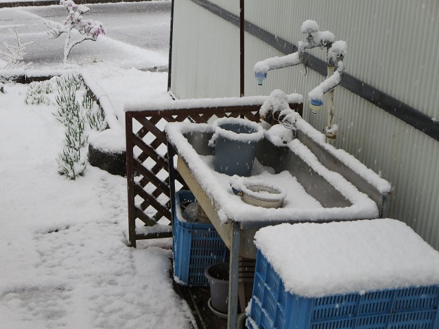 ファイル 44-3.jpg