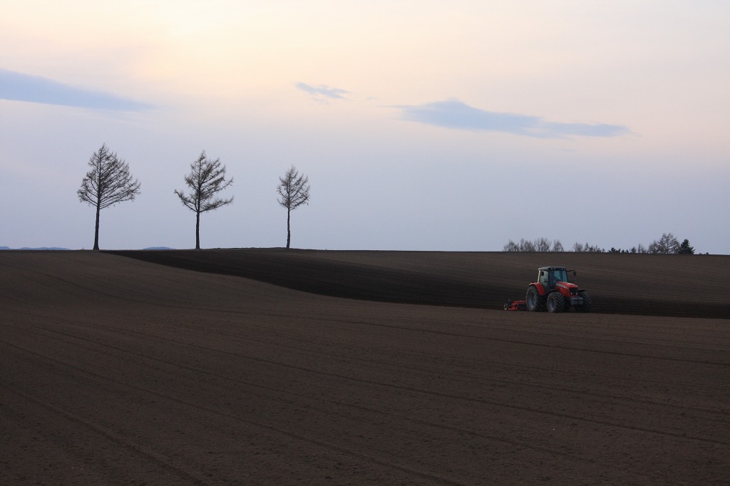 ファイル 45-1.jpg