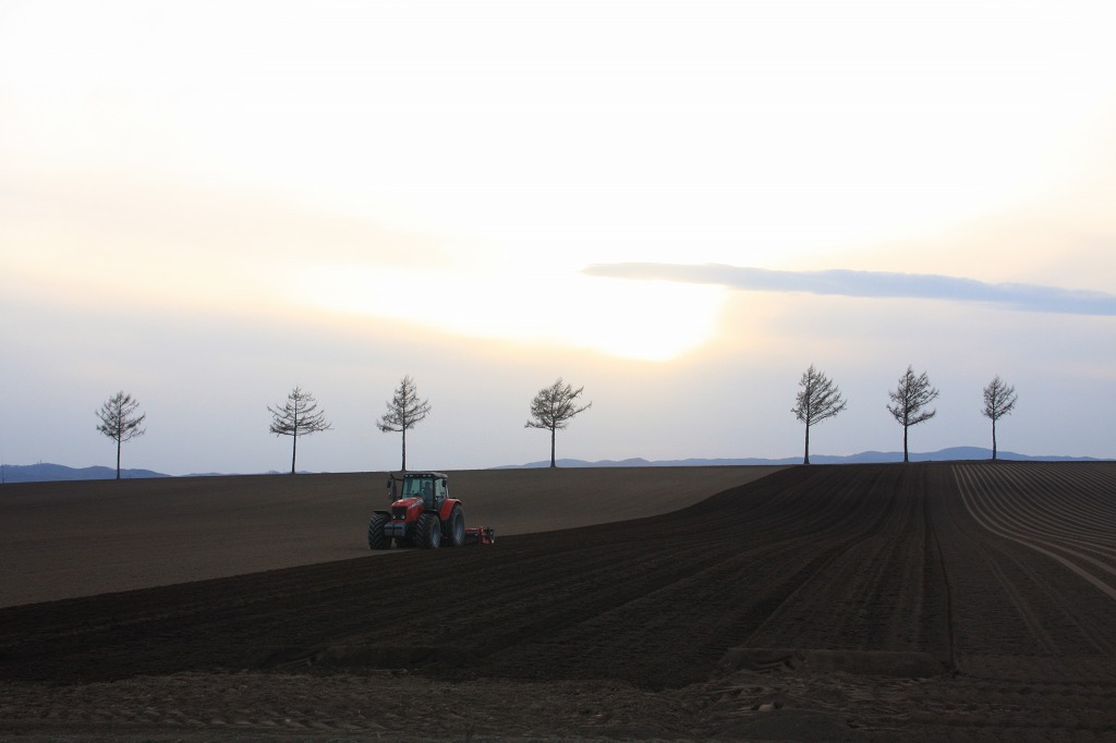 ファイル 45-3.jpg