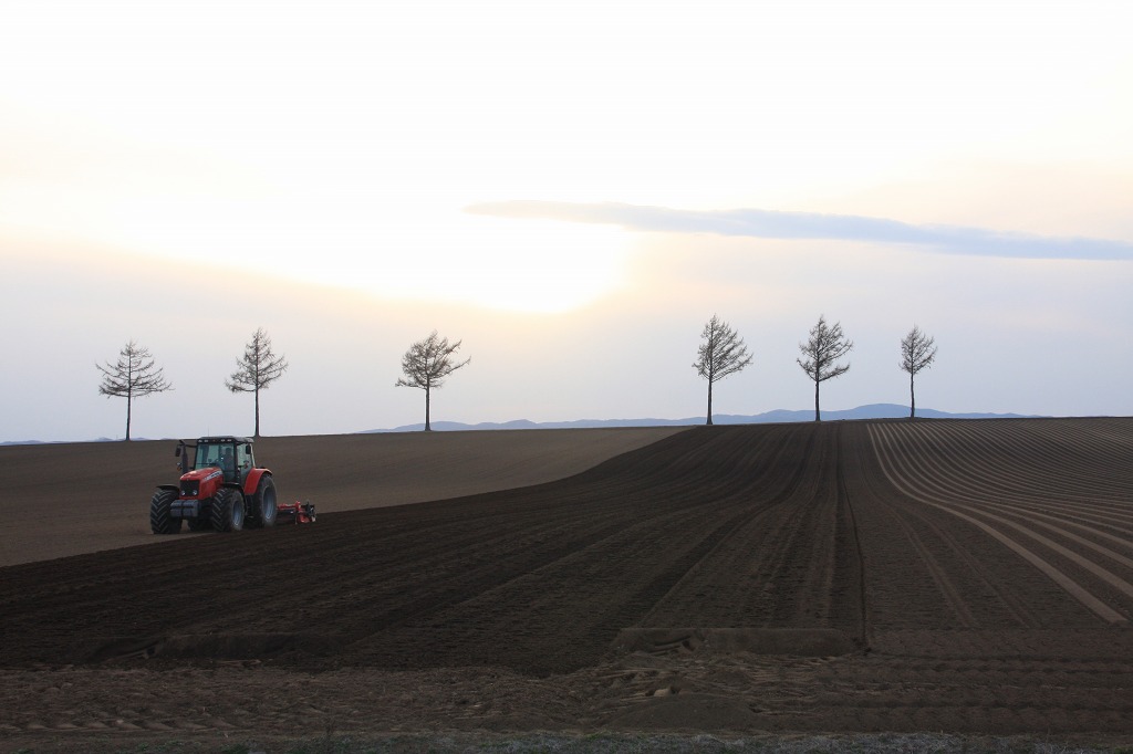 ファイル 45-5.jpg