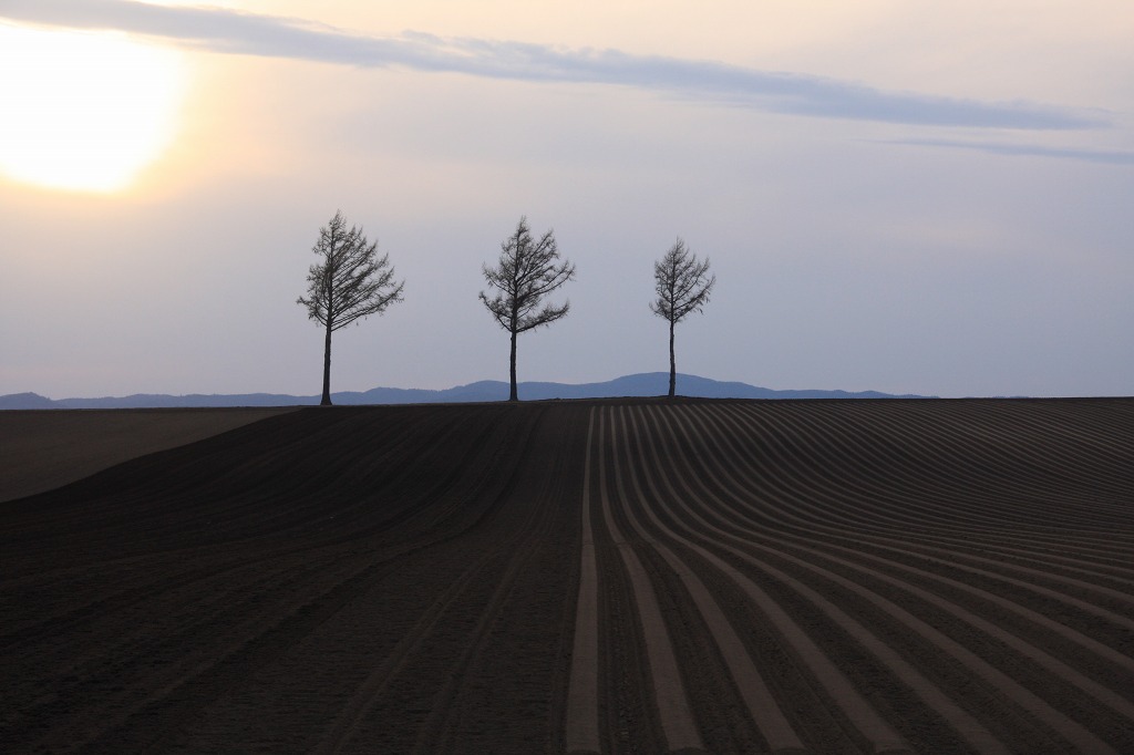 ファイル 45-6.jpg