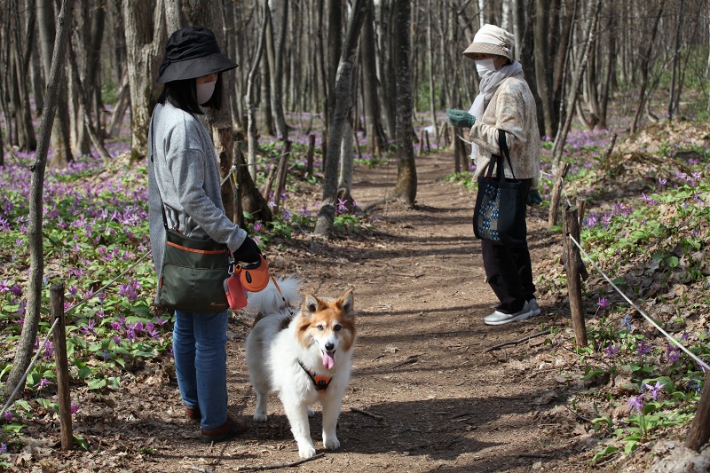 ファイル 46-2.jpg