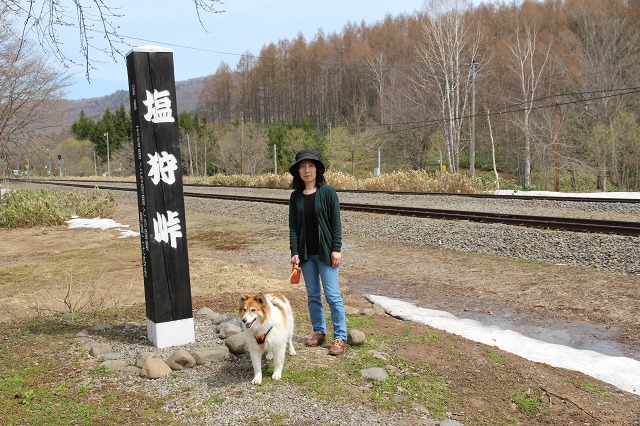 ファイル 46-3.jpg