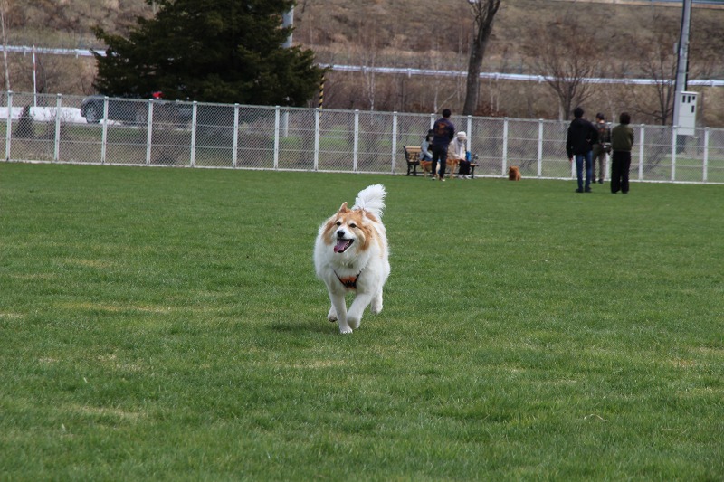 ファイル 46-4.jpg