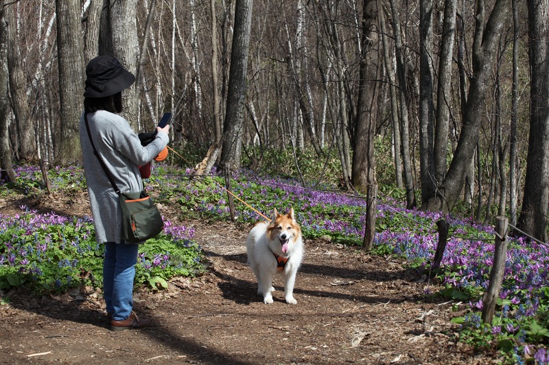 ファイル 47-2.jpg