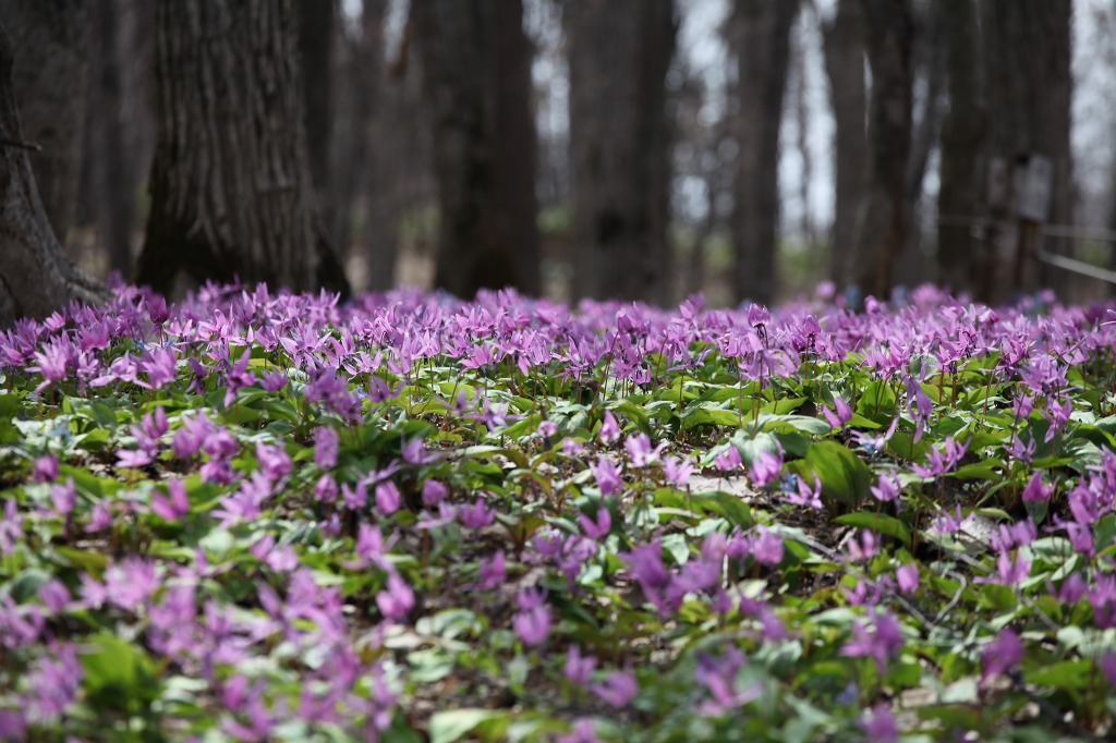 ファイル 47-5.jpg