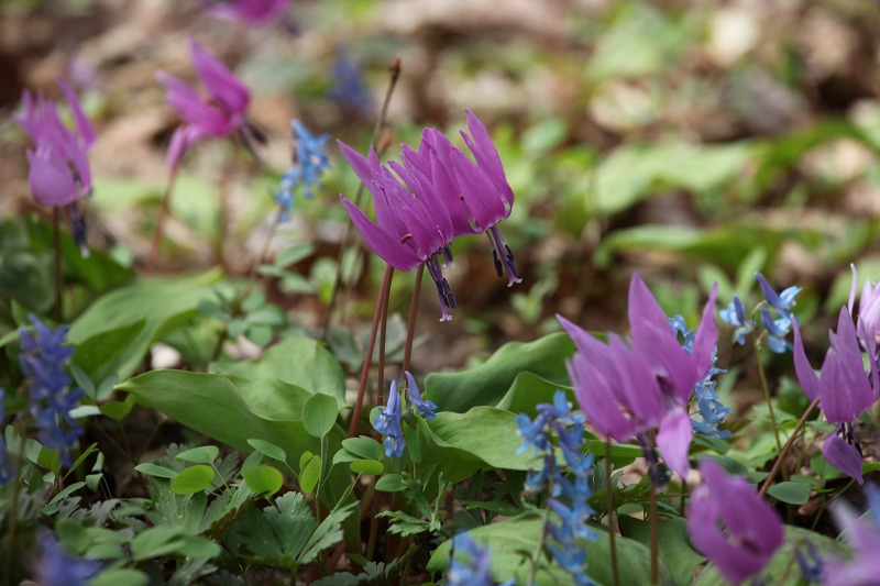 ファイル 47-9.jpg