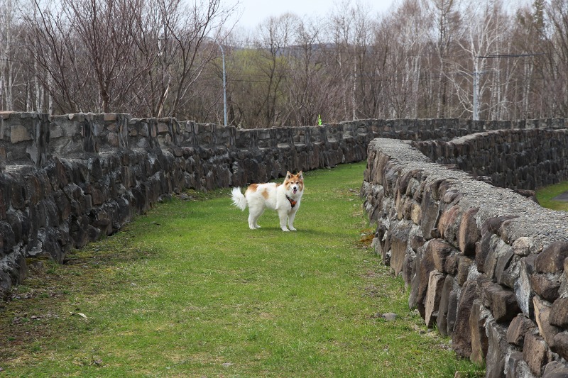 ファイル 48-1.jpg